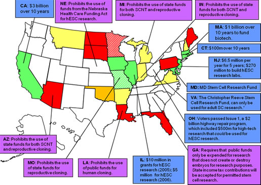 US Stem Cell Legislation